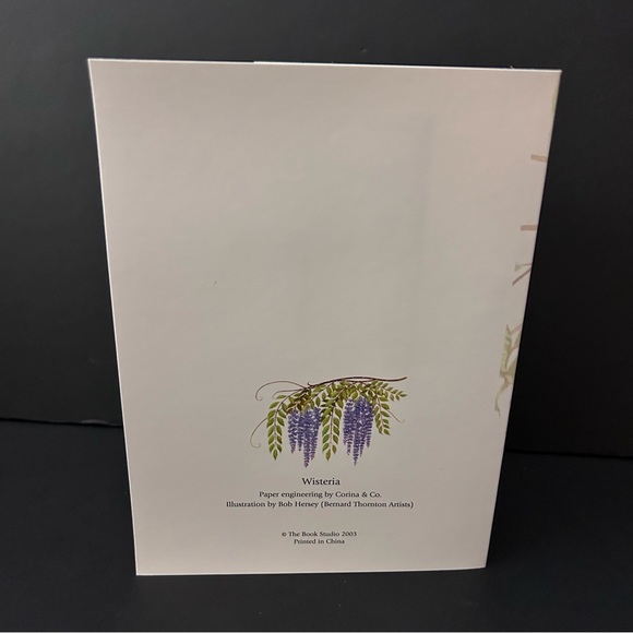 Pop-up card w/envelope - WISTERIA - Picture 4 of 5